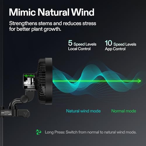 VIVOSUN AeroWave E6 Gen2, Grow Tent Clip Fan 6”, EC Motor, Smart Control, Powerful Oscillating Fan, Local Timer, Weatherproof IP54, for Hydroponics Circulation Cooling, Black