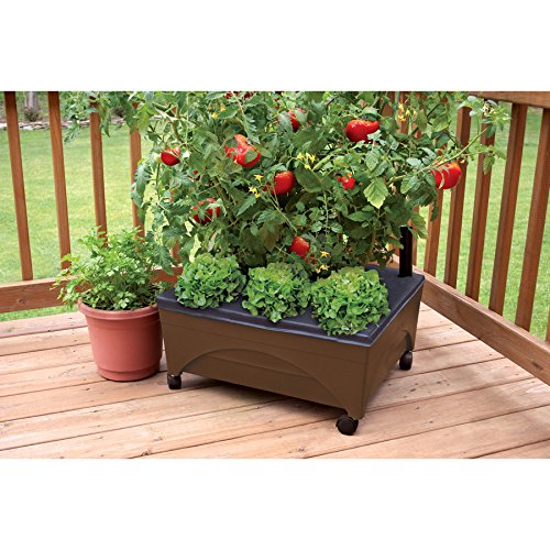 Emsco Group 2345 City Raised Bed Grow Box – Self Watering and Improved Aeration – Mobile Unit with Casters-Brown Picker