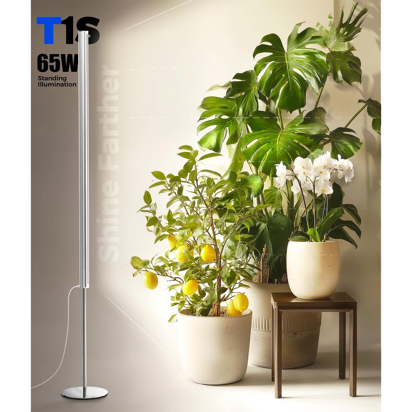 Barrina T1S Standing Grow Light for Indoor Plants with Timer, 65W 660nm High PPFD Tera Series Vertical Full Spectrum Grow Lights Adjustable Height 5FT-5.6FT, Foot Switch, Non-Glare Design, Silver