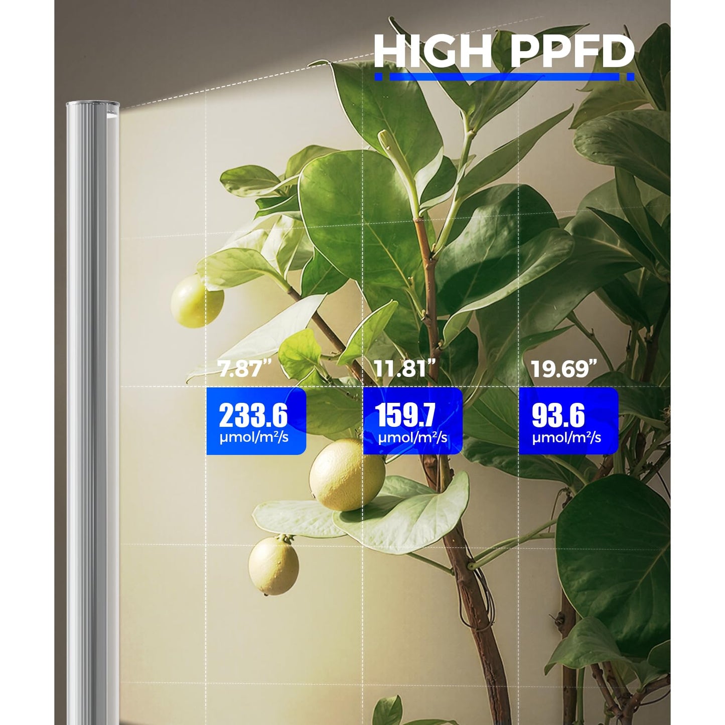 Barrina T1S Standing Grow Light for Indoor Plants with Timer, 65W 660nm High PPFD Tera Series Vertical Full Spectrum Grow Lights Adjustable Height 5FT-5.6FT, Foot Switch, Non-Glare Design, Silver