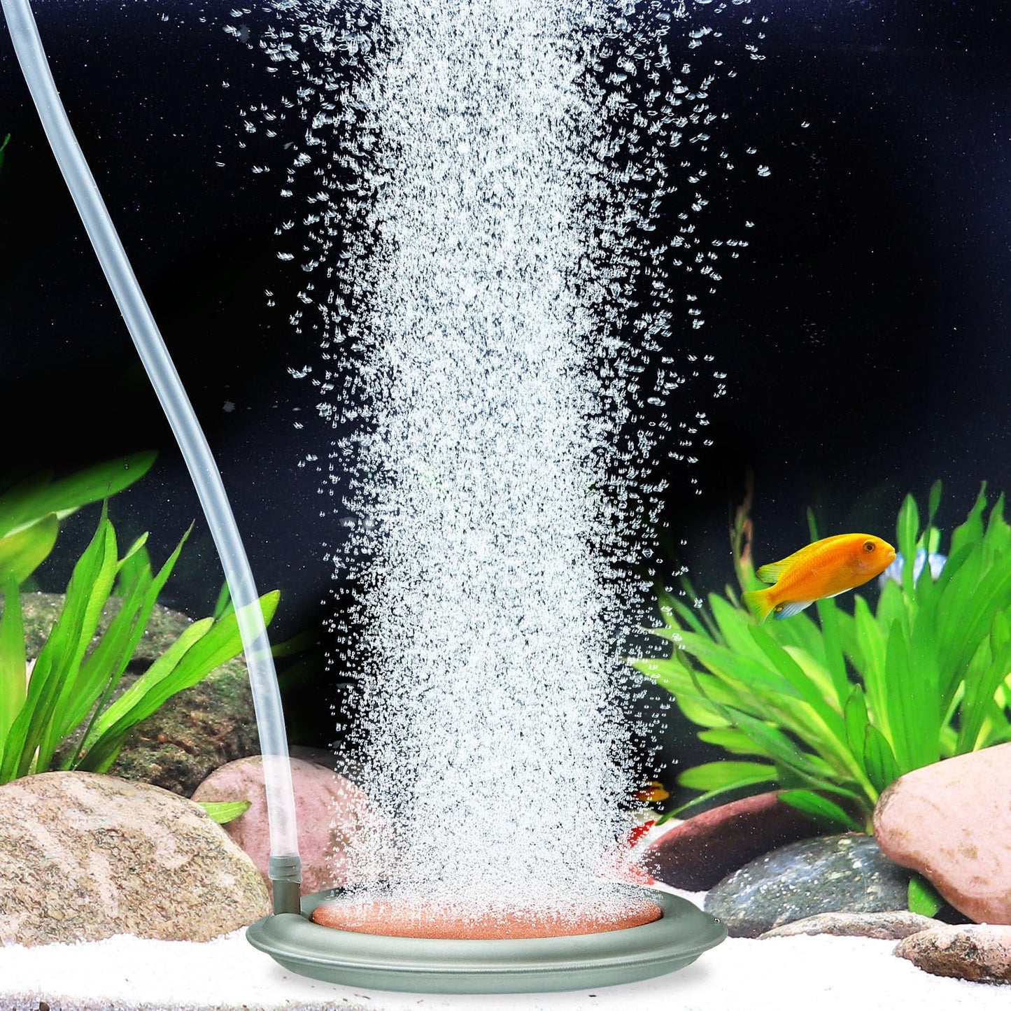 hygger Aquarium Air Stone, 4.1 Inch Nano Air Stone Makes Super Tiny Bubbles, Ultra Quiet Dissolved Oxygen Diffuser Small Airstone with Stainless Steel Base for Aquarium, Fish Tank & Hydroponic