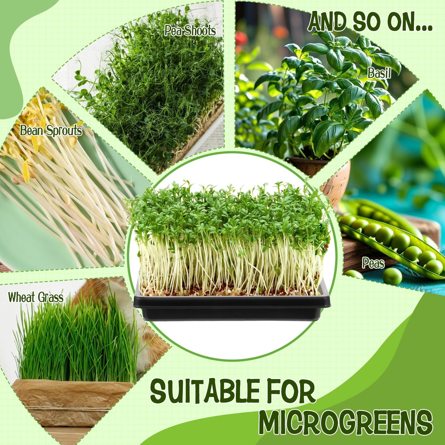 CIEOVO Microgreens Growing Mat with Tray Kit, 8 Pcs Hemp Fiber Grow Tray with 8 Pcs 10" Square Growing Trays Hydroponic Jute Pads Indoor Production for Indoor Germination Sprouts