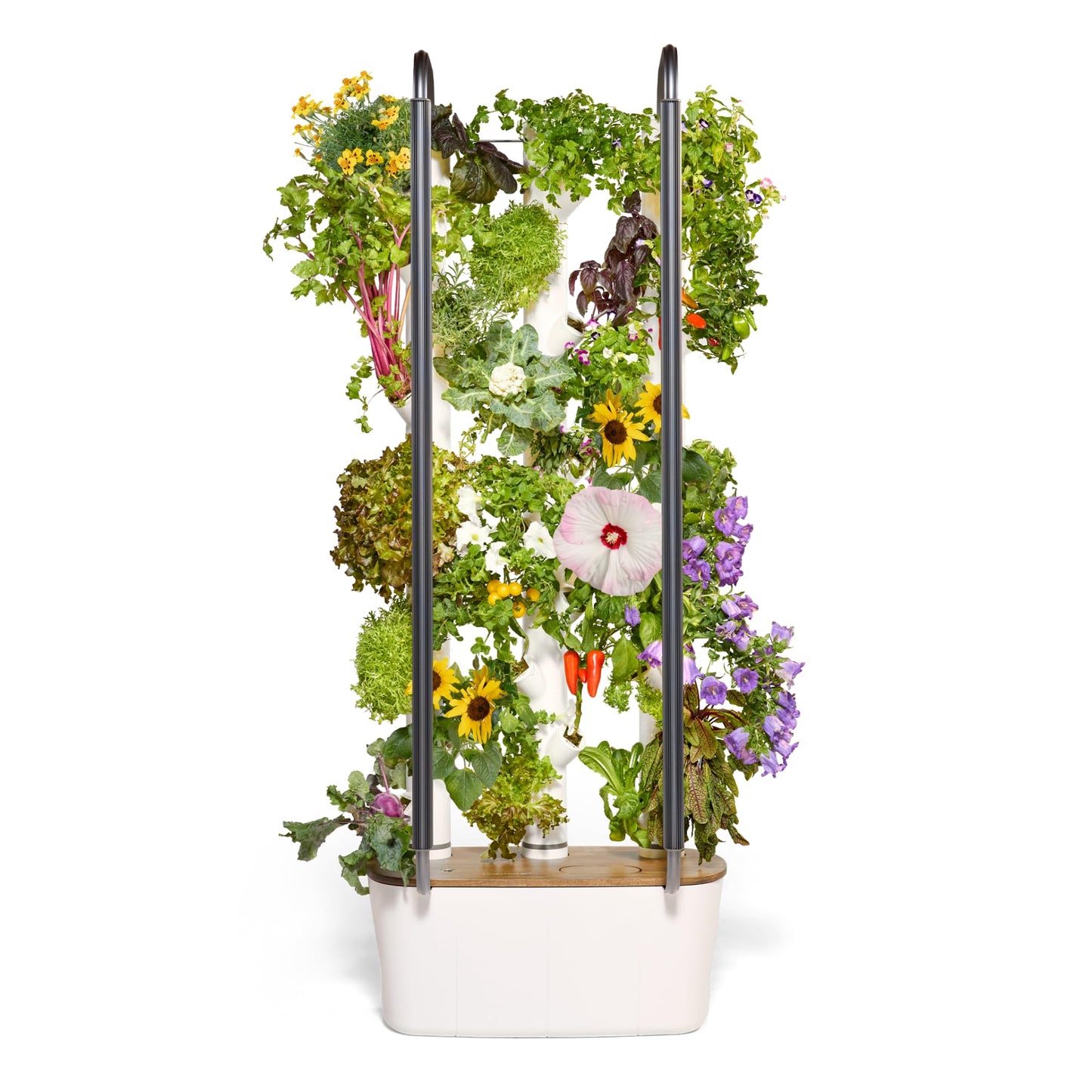 Gardyn 4.0 Hydroponics Growing System Kit & Vertical Garden Planter, 30 Non-GMO Indoor Plants Smart Garden, Herbs, Vegetables & LED Grow Lights for Indoor Gardening System