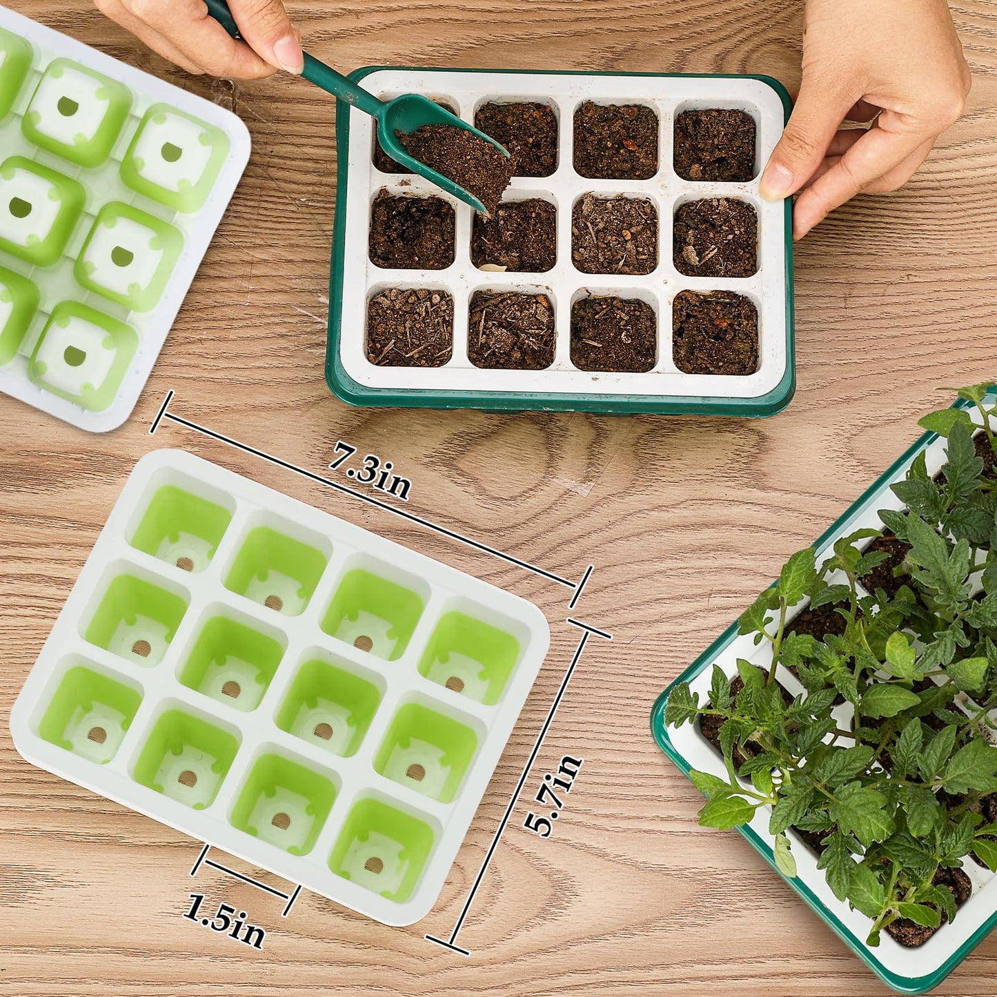 6pcs Seed Starter Kit, 72-Cell Silicone Plant Trays with Flexible Pop-Out Design for Indoor Gardening