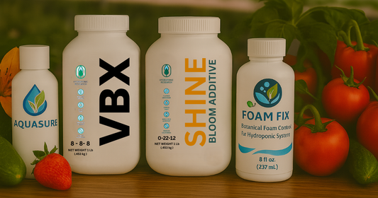 Product Relaunch Announcement: VBX, Shine—and Two Powerful New Additions