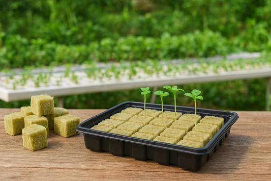 Start Strong: Don't Germinate in Your Grow System