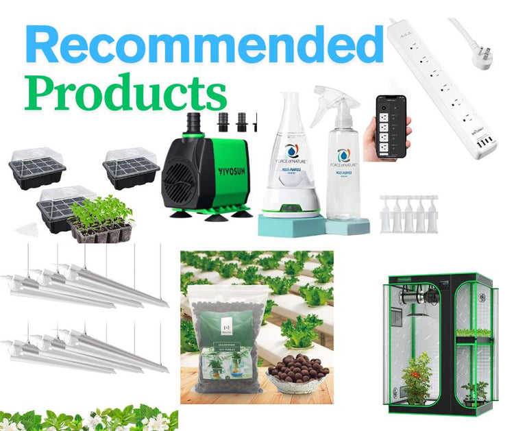 Recommended Products