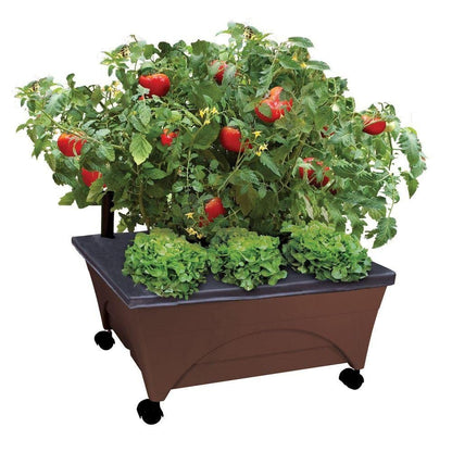 Emsco Group 2345 City Raised Bed Grow Box – Self Watering and Improved Aeration – Mobile Unit with Casters-Brown Picker