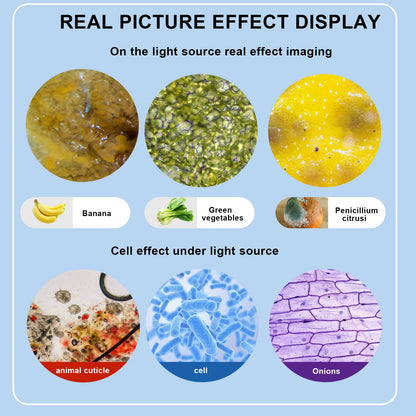 Trinocular Microscope 40X-5000X Magnification Laboratory Grade with Dual Mechanical Stage and HD USB Camera Microscope for Adults