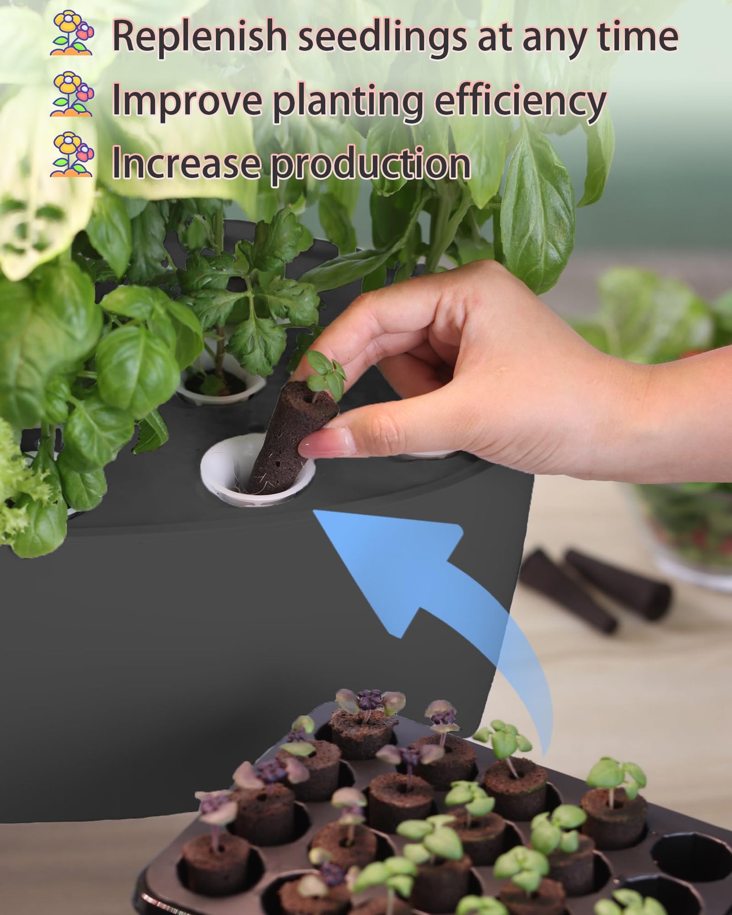 DRYADES Hydroponic Growing System Kit 16 Pods, Smart Herb Garden with Sprout Mode Can Seedling in Advance & 24W Full Spectrum LED Grow Light, Indoor Garden Planter for Home/Office/School (Black)