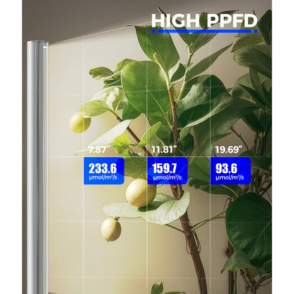 Barrina T1S Standing Grow Light for Indoor Plants with Timer, 65W 660nm High PPFD Tera Series Vertical Full Spectrum Grow Lights Adjustable Height 5FT-5.6FT, Foot Switch, Non-Glare Design, Silver