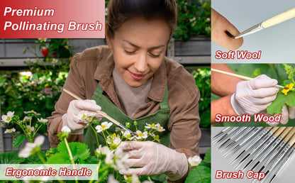 Pollinating Brush (12 Pack)