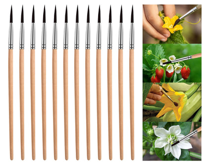 Pollinating Brush (12 Pack)