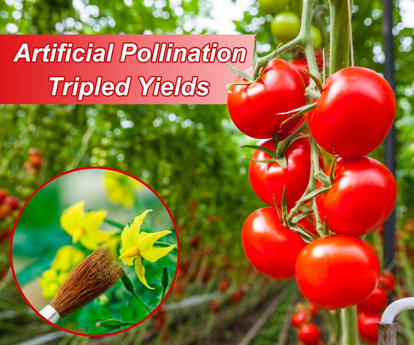 Pollinating Brush (12 Pack)