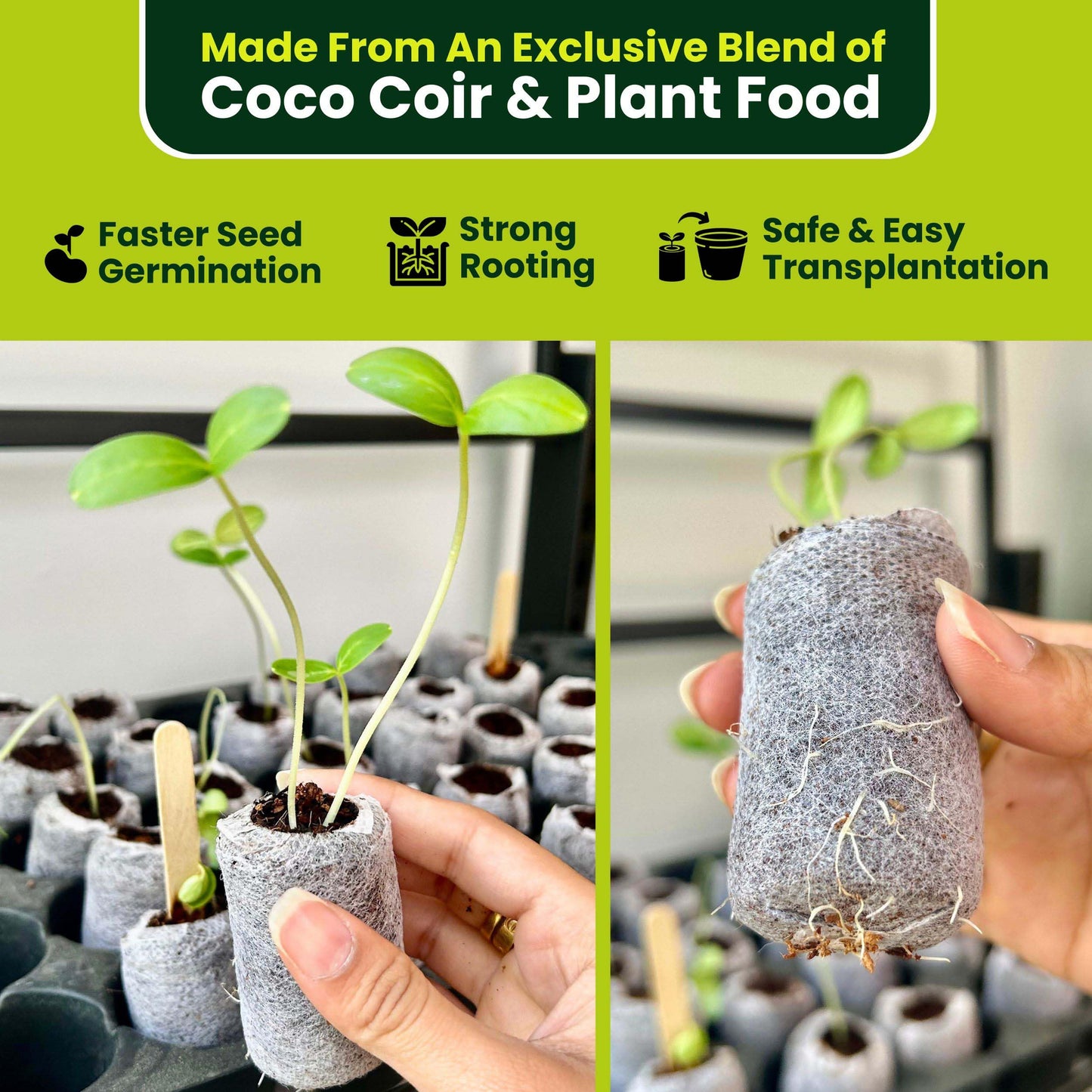 Gro-Med Organic Coco Coir Seed Starter Pellets NPK Enriched 50 Pcs, 35mm Perfect to Grow Herbs, Vegetables, Flowers,Fruits Seedlings, Compressed Coconut Coir Soil Plugs - Easy to Transplant in Pot