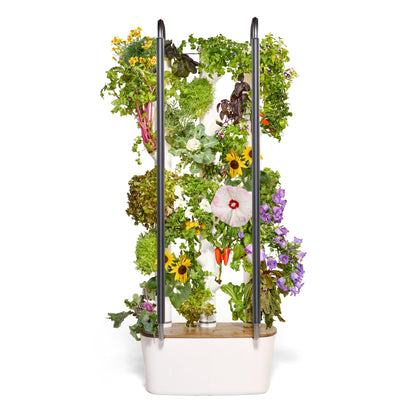 Gardyn 4.0 Hydroponics Growing System Kit & Vertical Garden Planter, 30 Non-GMO Indoor Plants Smart Garden, Herbs, Vegetables & LED Grow Lights for Indoor Gardening System