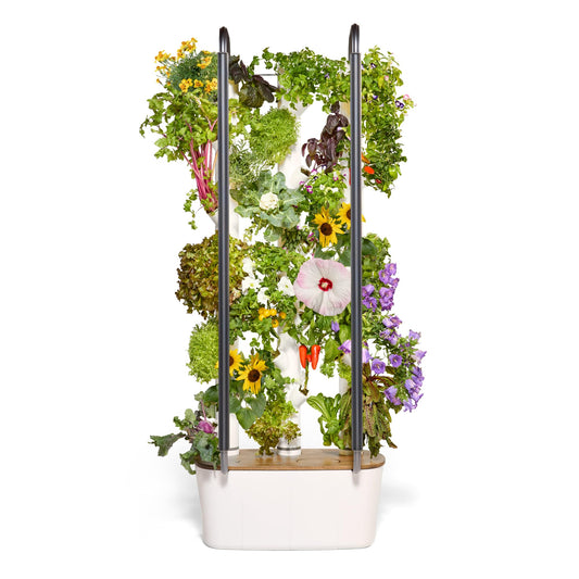 Gardyn 4.0 Hydroponics Growing System Kit & Vertical Garden Planter, 30 Non-GMO Indoor Plants Smart Garden, Herbs, Vegetables & LED Grow Lights for Indoor Gardening System