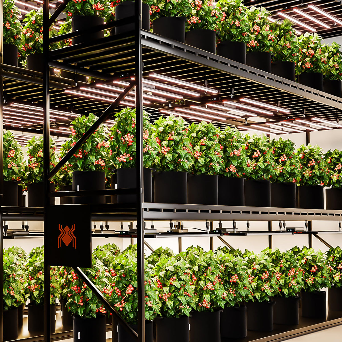Spider Farmer G7000 LED Grow Light 730W, App‑Controlled & Osram Red