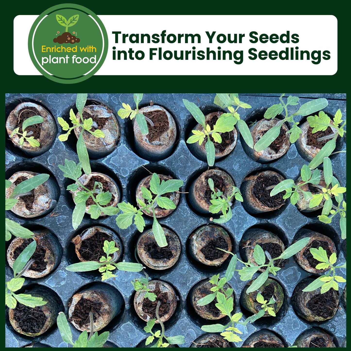 Gro-Med Organic Coco Coir Seed Starter Pellets NPK Enriched 50 Pcs, 35mm Perfect to Grow Herbs, Vegetables, Flowers,Fruits Seedlings, Compressed Coconut Coir Soil Plugs - Easy to Transplant in Pot