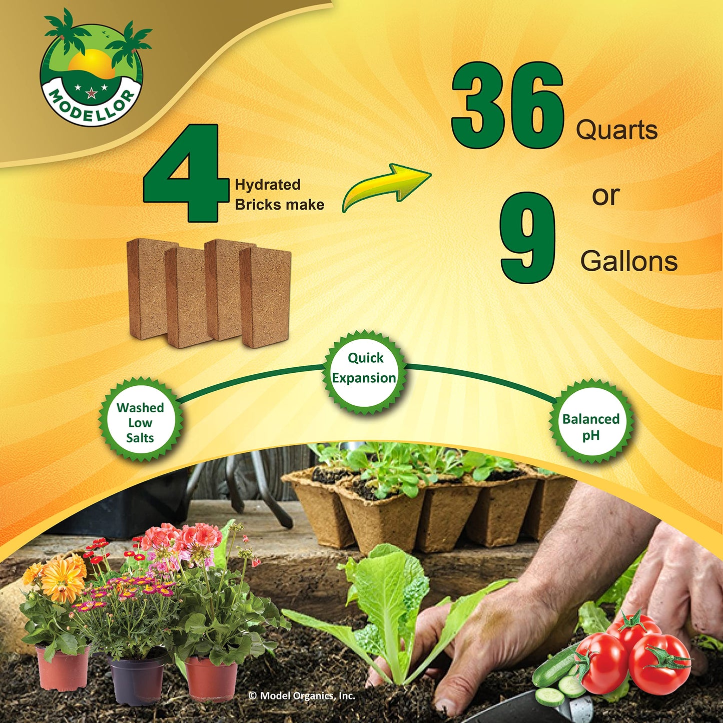 MODELLOR 4 Bricks (5 lb) Premium Super Washed Coco Coir, Yields 9 gallons, Seed Starter, Organic, pH Balanced, Gardening, Indoor, Outdoor use.