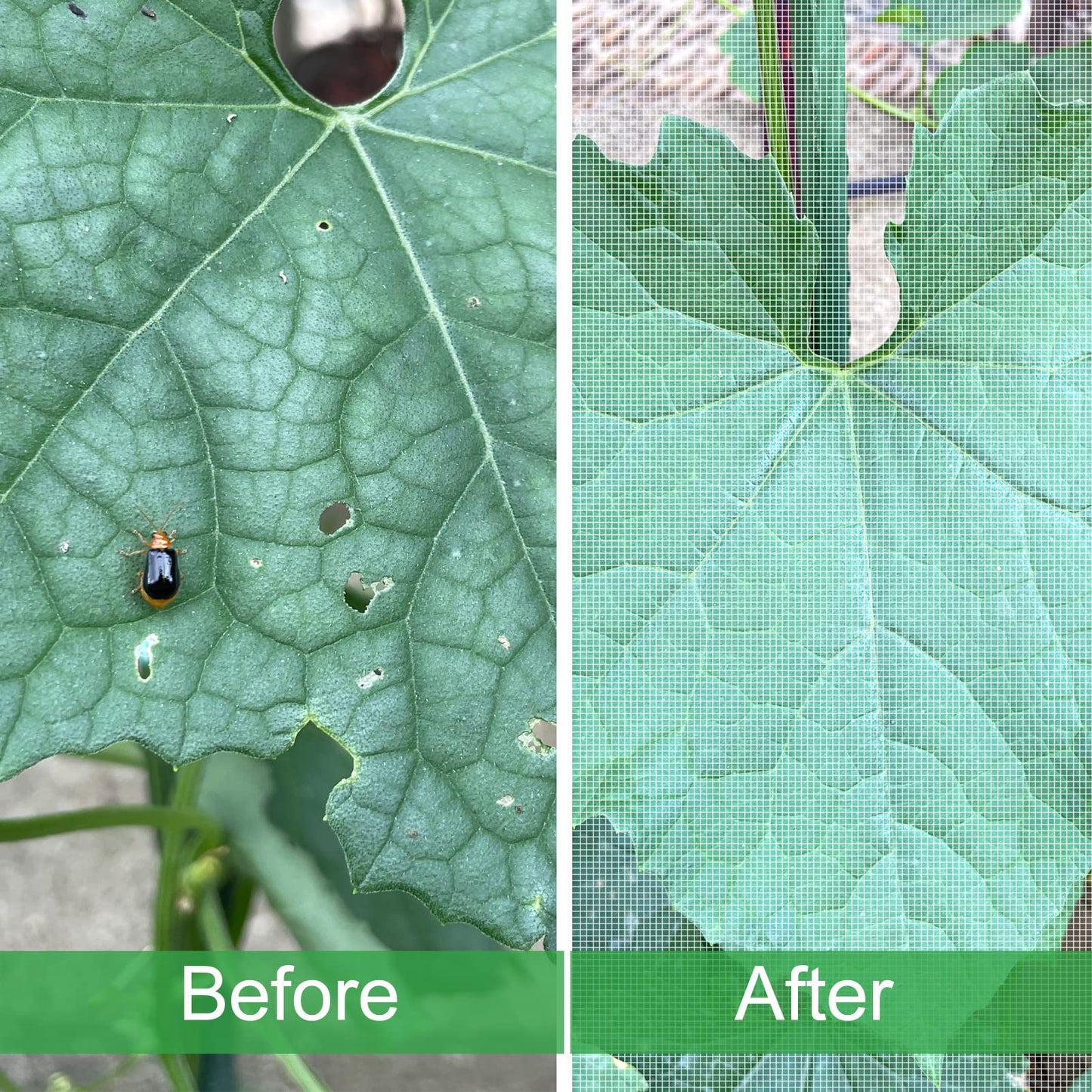 Garden Netting, 10'x20' Ultra Fine Insect Netting for Plants Trees Vegetables, Mesh Protection Netting Fruits Flowers Crops Greenhouse Row Covers Raised Beds Bug Screen Barrier Net