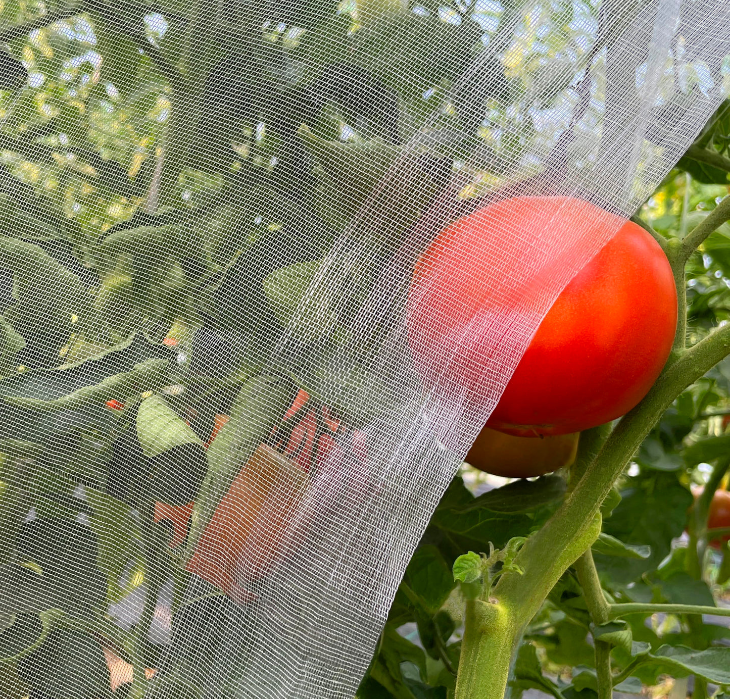 Garden Netting, 10'x20' Ultra Fine Insect Netting for Plants Trees Vegetables, Mesh Protection Netting Fruits Flowers Crops Greenhouse Row Covers Raised Beds Bug Screen Barrier Net