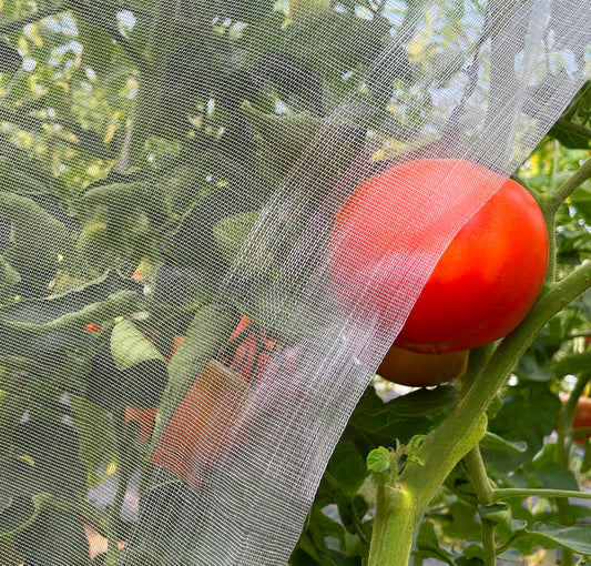 Garden Netting, 10'x20' Ultra Fine Insect Netting for Plants Trees Vegetables, Mesh Protection Netting Fruits Flowers Crops Greenhouse Row Covers Raised Beds Bug Screen Barrier Net